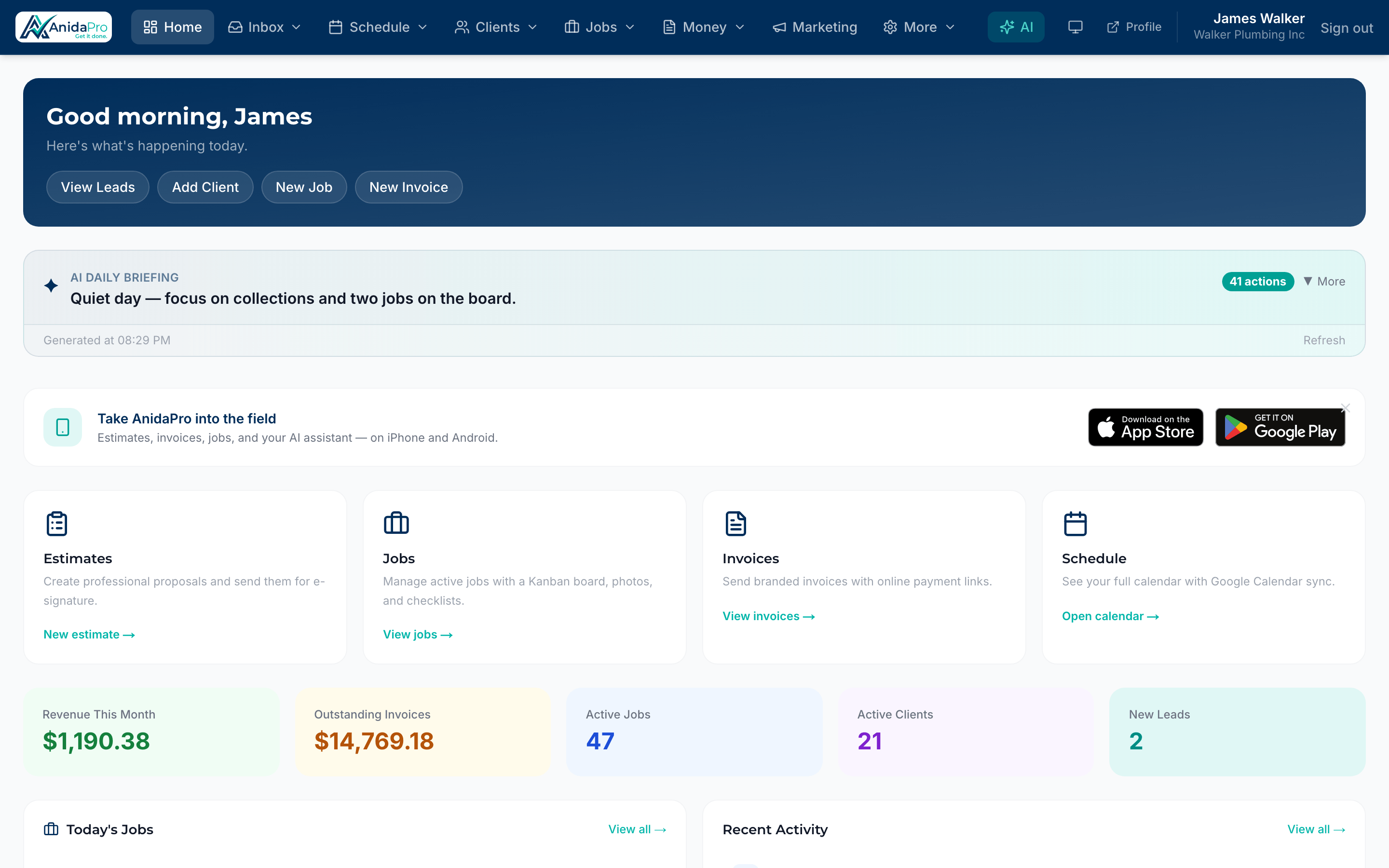 AnidaPro web dashboard
