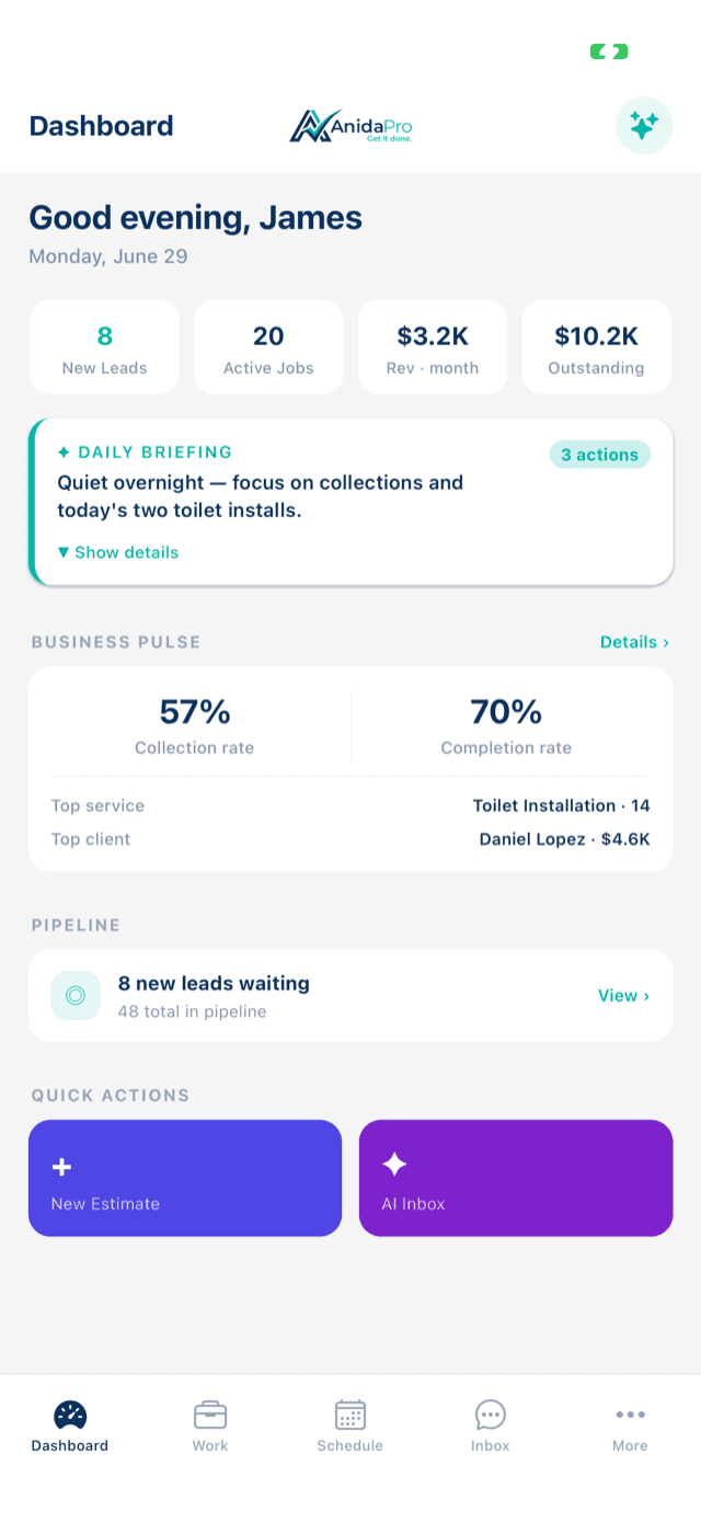 AnidaPro iPhone app showing the dashboard, daily AI briefing, and business pulse