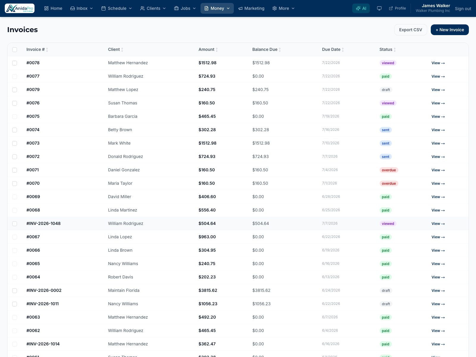 AnidaPro invoicing and online payments